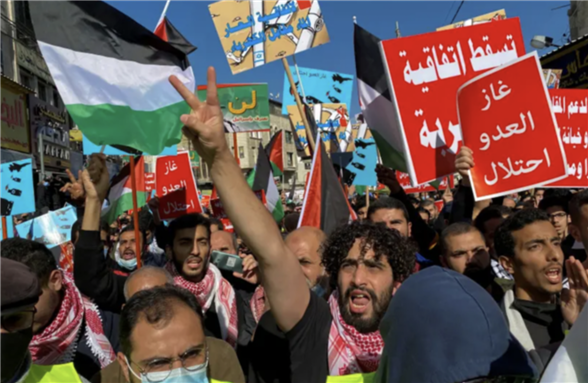 Jordanians carry flags and placards as they demonstrate against the declaration of intent for water-for-energy deal. (Reuters)