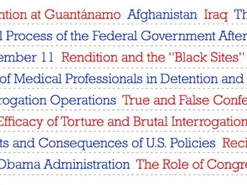 [Image from detaineetaskforce.org]