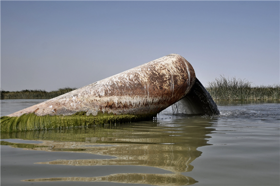 Wastewater is discharged into the Iraqi marshes in the southern district of Chibayish via AFT by Asaad Niazi