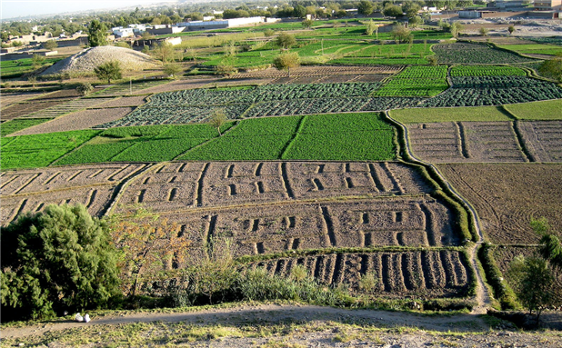 Farm fields in Afghanistan (2008). Photo by Todd Huffman via Wikimedia Commons.