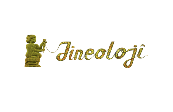 Where Do We Go from Here? Jineolojî and the Challenges of Decolonizing Knowledge Production 