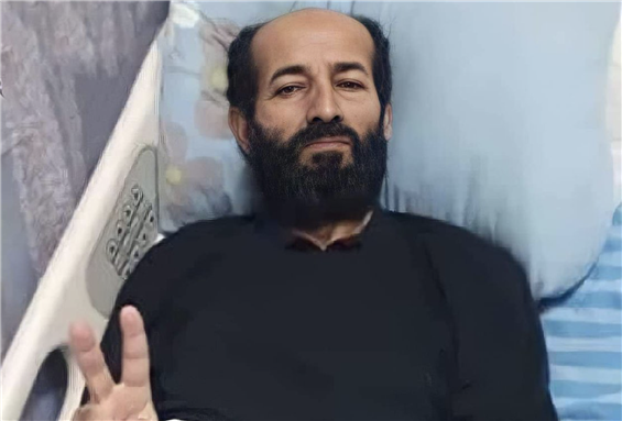 Resistance, Subversion, and Mobilization Media Roundup (November 2020)