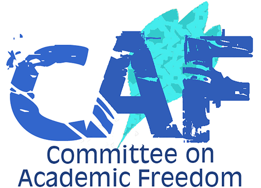 CAF Letter Regarding Professor Seif Fateen Being Held in Pre-trial Detention for Nearly Four Years