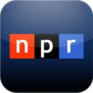 Jadaliyya Co-Editor Bassam Haddad on NPR’s Worldview, Addressing Syria’s Presidential Elections