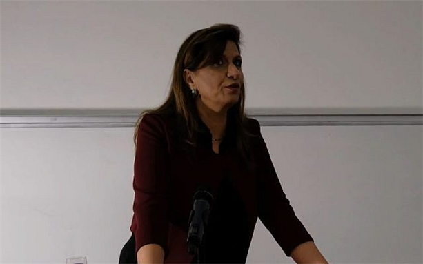 Screen capture from video of Nadera Shalhoub-Kevorkian, professor of social work and law at the Hebrew University of Jerusalem, during a presentation.
