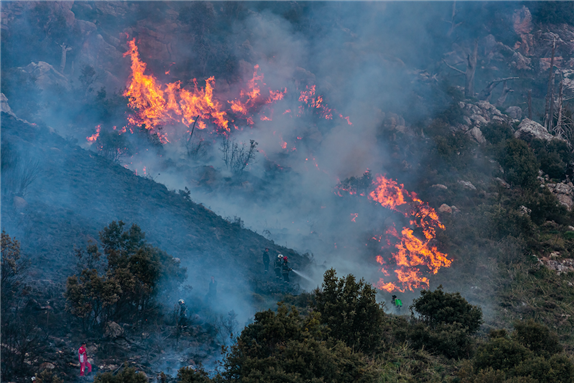 Forest fire in Bouira Algeria. Photo by CHETTOUH Nabil via Shutterstock.