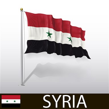 Syria Media Roundup (December 29)