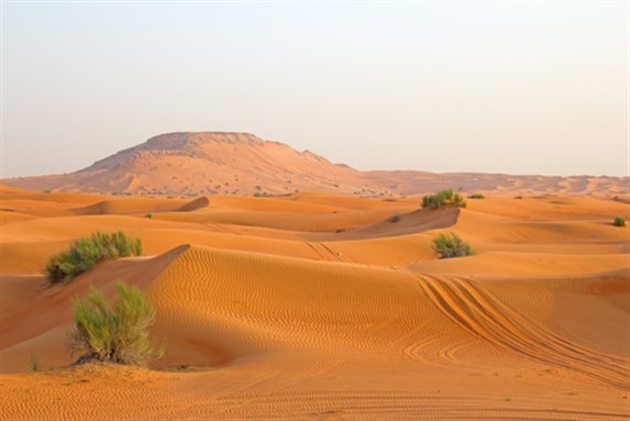 [Image from www.shutterstock.com]