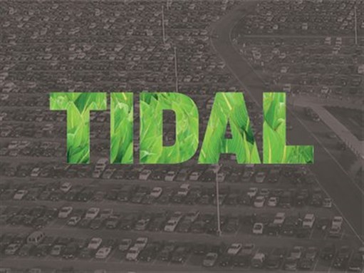 [Image from tidalmag.org]
