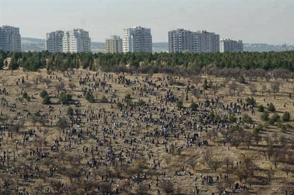 [METU students planting new trees on campus. Photo via solidaritywithmetu.blogspot.com]