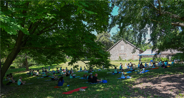 International Day of Yoga Action for Palestinian Liberation Solidarity Statement