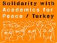 Academics for Peace Continue Standing Trials: An Interview with Murat Birdal
