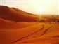 Call for Papers: Desert Futures - Sahara and Sonoran