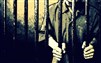 “كوفيد 19 : عقابٌ مزدوج ينال الأسرى الفلسطينيين في الزّنازين الإسرائيليّة، وسُجناء الرّأي في العالم العربي”