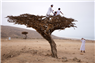 Jadaliyya Launches the Photography and Audiovisual Narratives Page