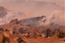 Live Event: The World Is Burning - Fire and Climate Crisis from the Mediterranean to the US West Coast (1 October 2020)