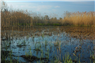 Environment in Context: Wetlands and the Moral Ecologies of Infrastructure in Turkey