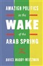 Bruce Maddy-Weitzman, Amazigh Politics in the Wake of the Arab Spring (New Texts Out Now)
