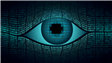 Big Brother. The Weapons of Mass Influence of Saudi Arabia and the Emirates
