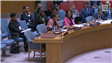 Jadaliyya Co-Editor Noura Erakat Speaks on Palestine at the UN Security Council (6 October, 2025)