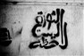 الثورة المصرية فى مرآة التاريخ