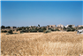 Sowing Scarcity: Syria’s Wheat Regime from Self-Sufficiency to Import-Dependency