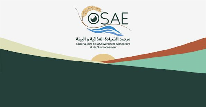 دعوة للمشاركة: السياسات الفلاحية خلال فترتي الاستعمار وما بعد الاستعمار ومسار التأسيس للتبعية الغذائية