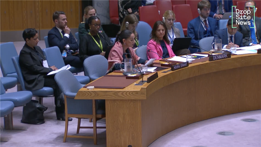 Jadaliyya Co-Editor Noura Erakat Speaks on Palestine at the UN Security Council (6 October, 2025)