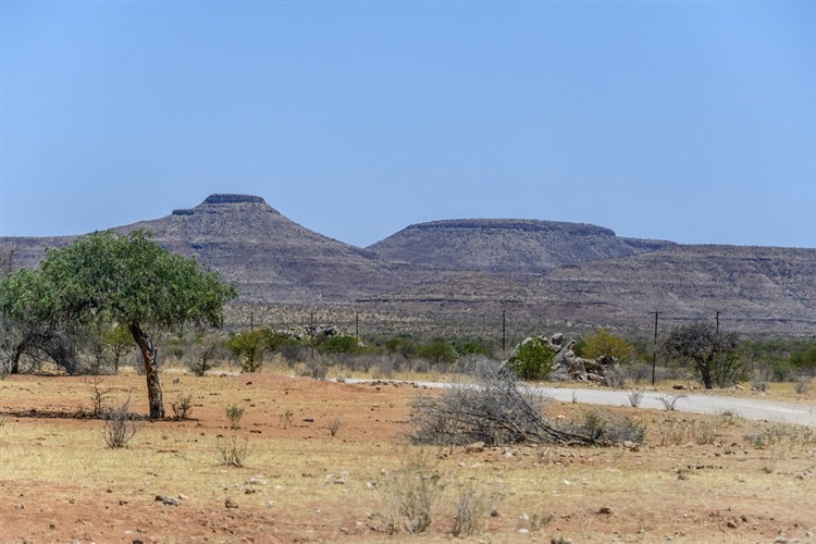 Jadaliyya Sub Saharan Africa Media Roundup February March 2020