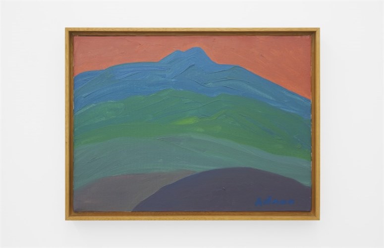 Jadaliyya Etel Adnan At The Base Of The Mountain