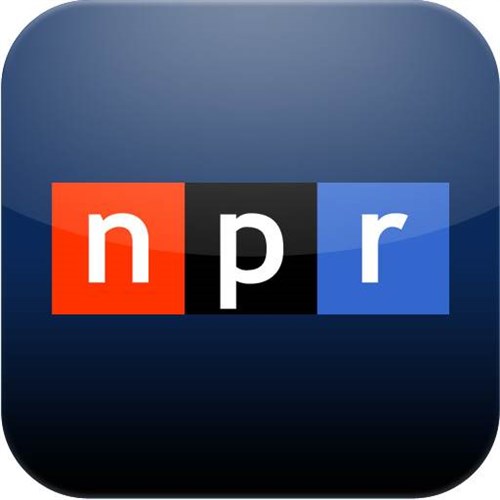 Npr Author Interviews June 2024 - Toby Aeriell