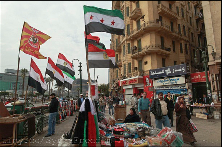 Egyptian Foreign Ministry Cites Security Tensions for Limiting Syrians