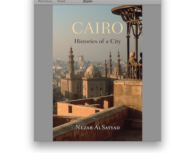 New Texts Out Now: Nezar AlSayyad, Cairo: Histories Of A City